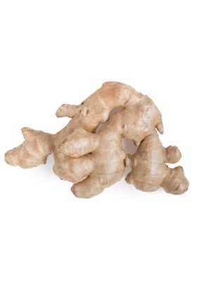Ginger